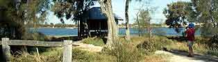 Creery Wetlands and Samphire Cove - Home of the Quenda also known as the Southern Brown Bandicoot